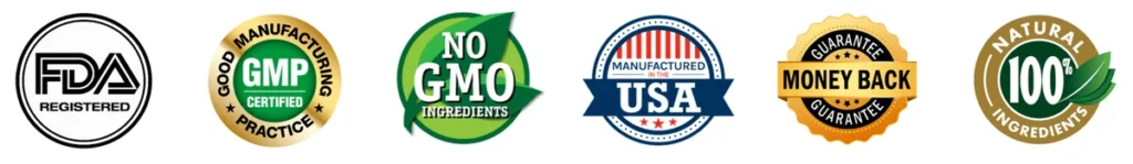 levium certifications